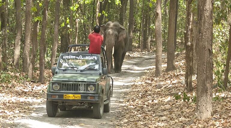 Getting up close to conservation in Ecuador’s Chocó rainforest