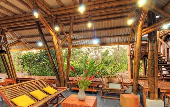 His ₹30 lakh stake in Oyo might have been well worth hundreds of crores today but…