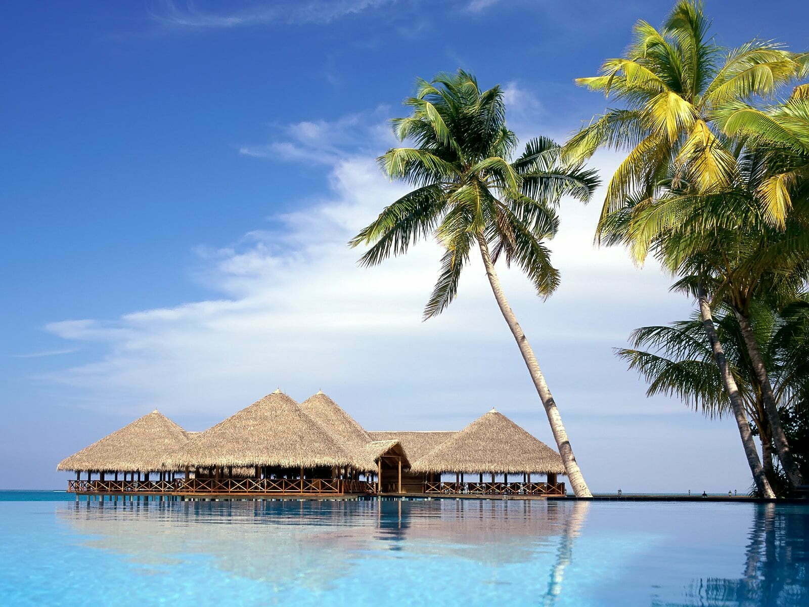 Your favored budget pleasant International vacation vacation spot are in trouble; find out