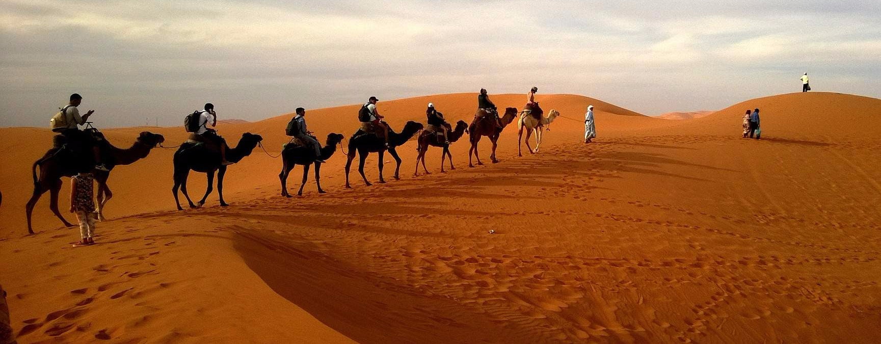 It’s Raining Sand: How Anantapur Came to Resemble a Desert