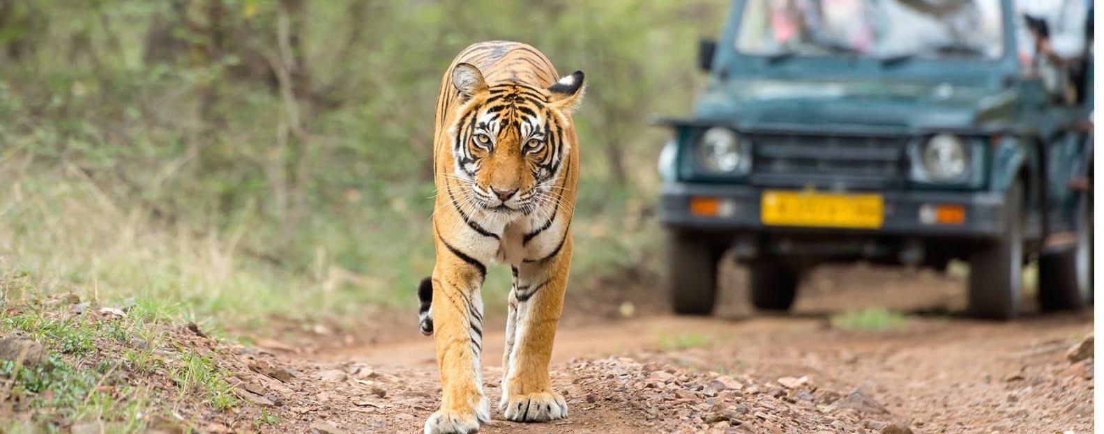 Every family has their very own food traditions: Sunita Kolhi during an occasion