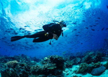 Donald Dirren Discusses the Top 5 Scuba Diving Locations in the Florida Keys