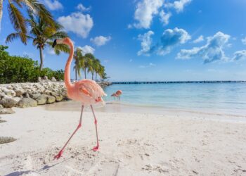 Top March Destinations: Where to Travel for Spring Break