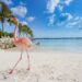 Top March Destinations: Where to Travel for Spring Break