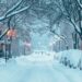 Snowfall in Montreal: December’s Winter Wonderland